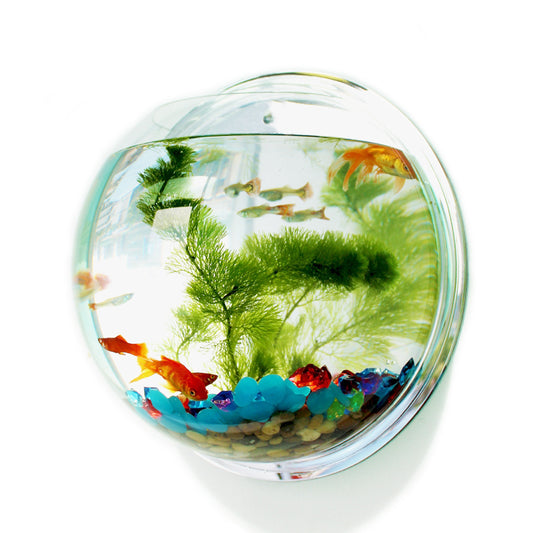Free Shipping Acrylic Fish Bowl Wall Hanging Aquarium Tank Aquatic Pet Supplies Pet Products Wall Mount Fish Tank