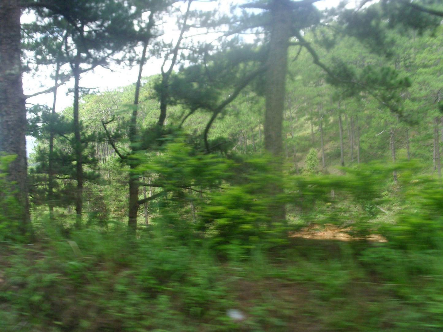 Test product add new